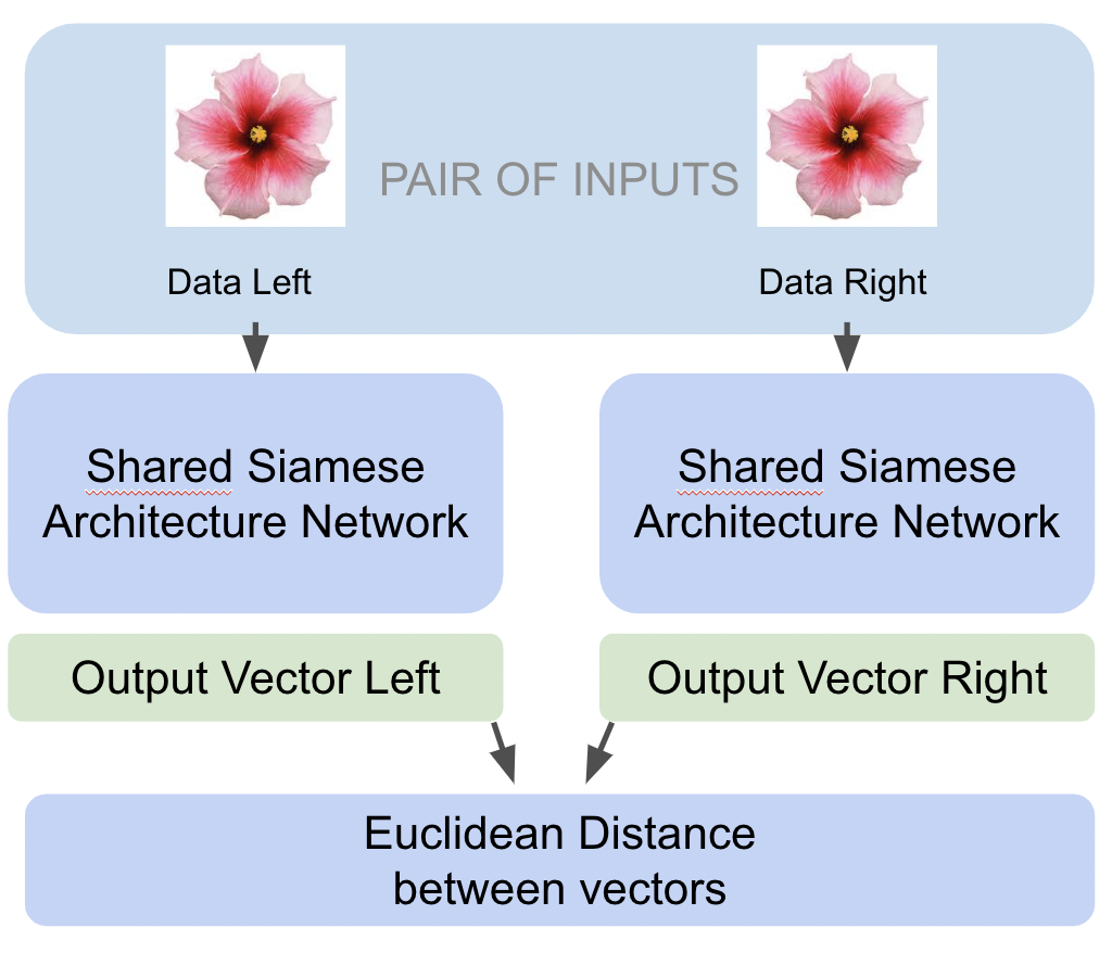 Esquema Red Siamesa TensorFlow